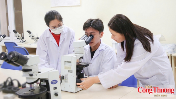 PVU gắn đ&agrave;o tạo, nghi&ecirc;n cứu với b&agrave;i to&aacute;n thực tiễn ng&agrave;nh năng lượng
